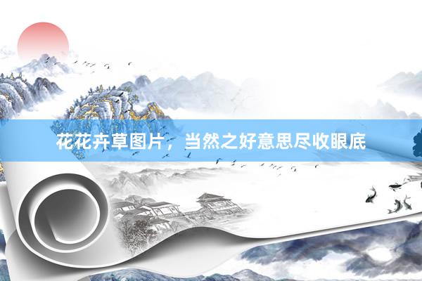 花花卉草图片，当然之好意思尽收眼底
