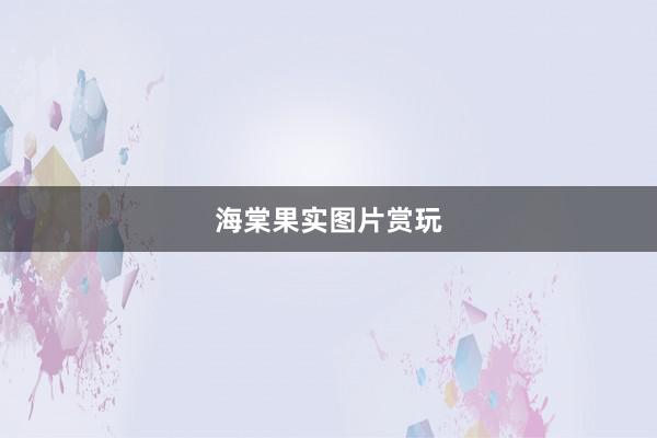 海棠果实图片赏玩
